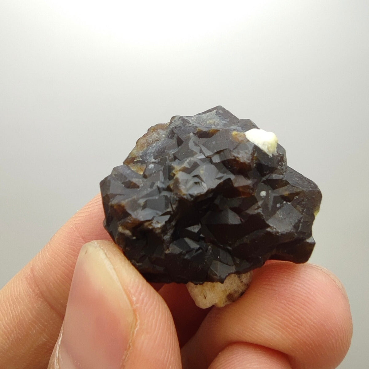 Natural Dark brown Andradite garnet cluster, Well formed crystal, 16.6 grams