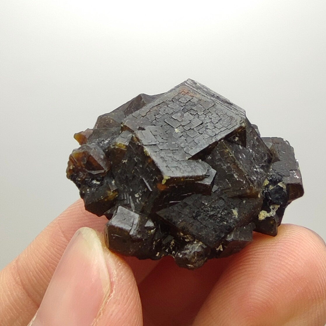 Natural Dark brown Andradite garnet cluster, Well formed crystal, 28.8 grams