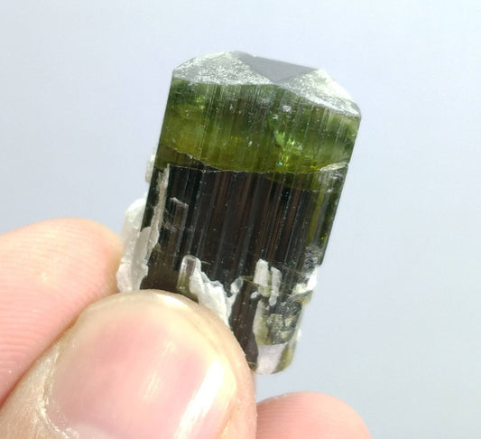 Green Cap Tourmaline Crystal with Muscovite Mica, Pakistan