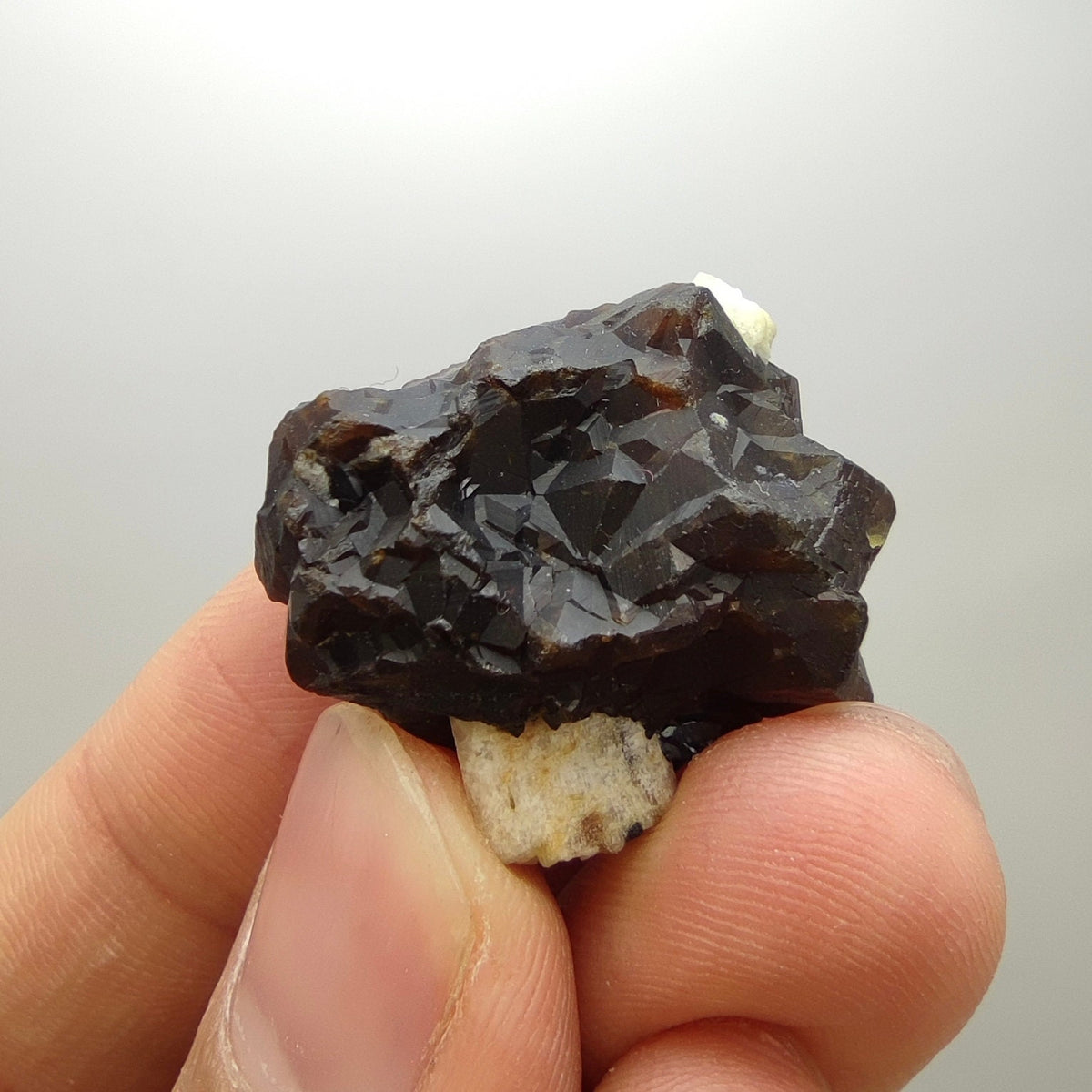 Natural Dark brown Andradite garnet cluster, Well formed crystal, 16.6 grams