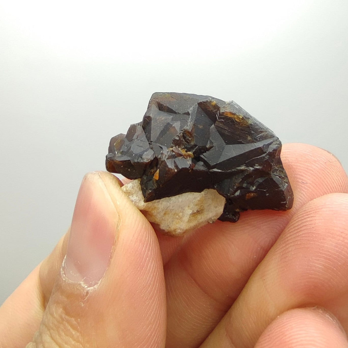 Natural Dark brown Andradite garnet cluster, Well formed crystal, 13.8 grams