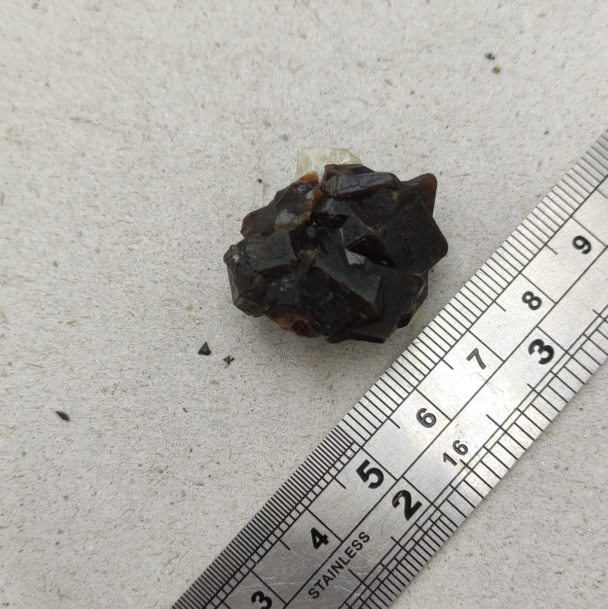 Natural Dark brown Andradite garnet cluster, Well formed crystal, 16.6 grams