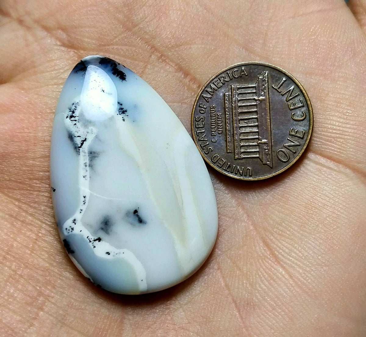 Pear Dendritic Opal Cabochon, 35 Carats