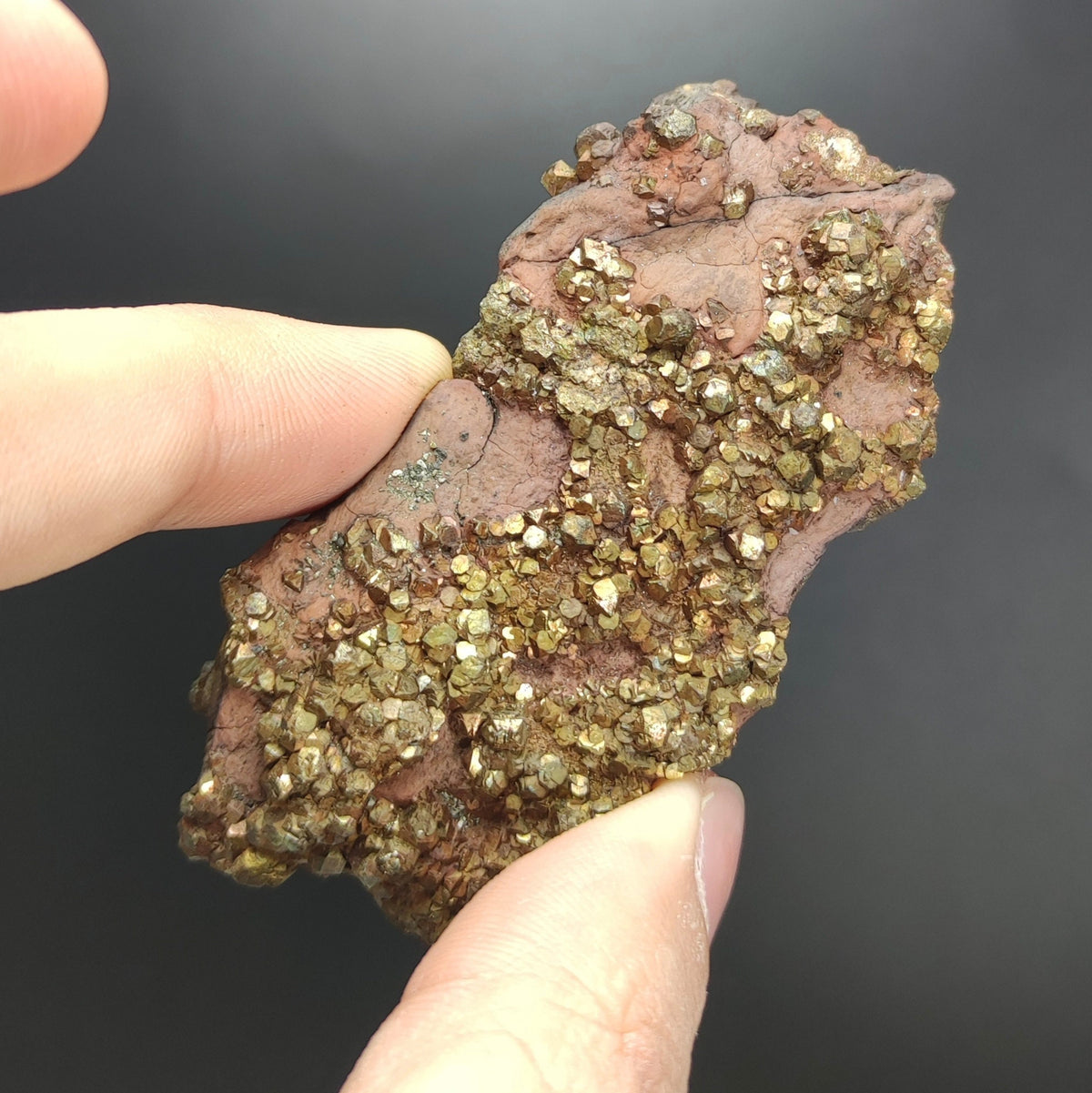 Natural golden Marcasite several crystals on matrix  from Pakistan, 105 grams