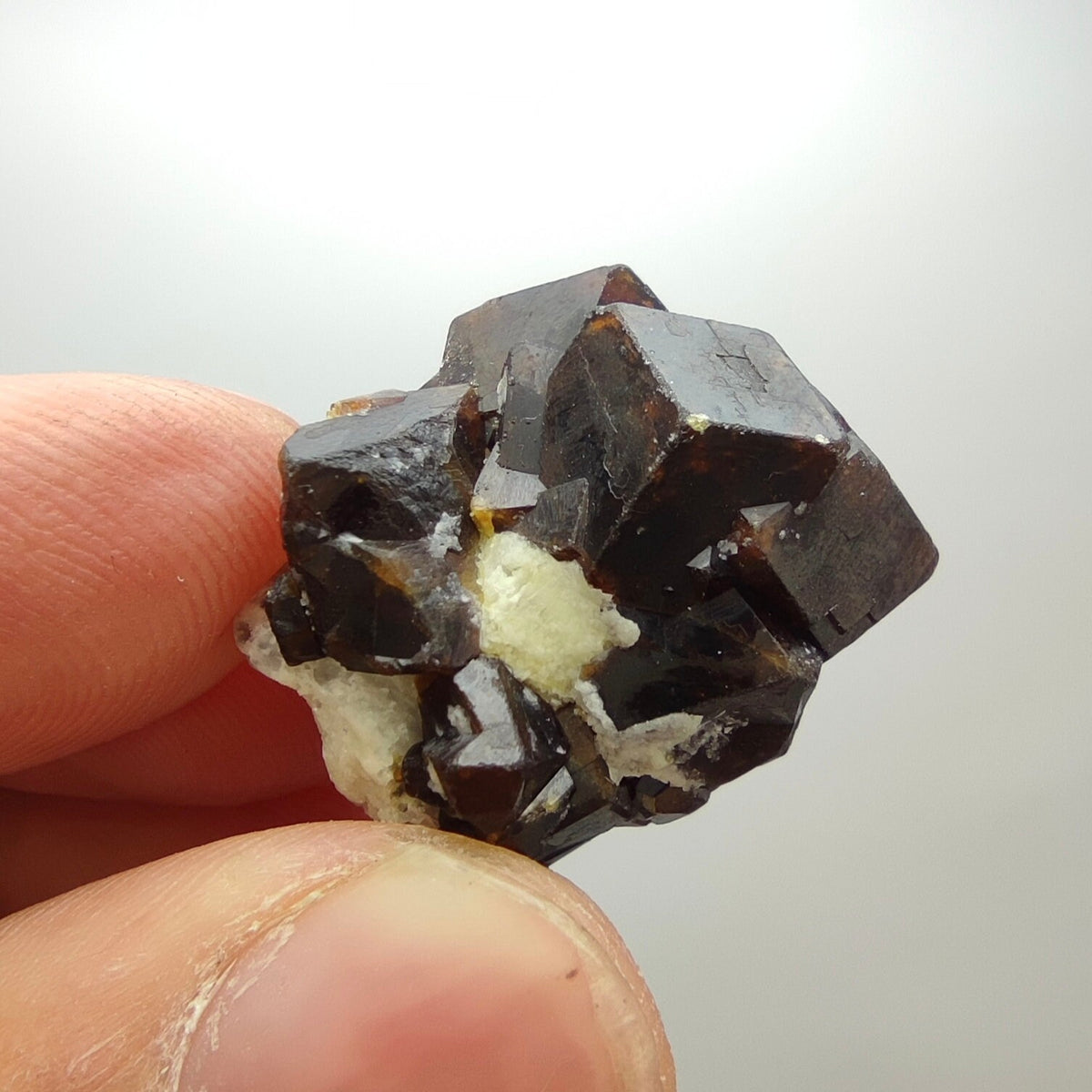 Natural Dark brown Andradite garnet cluster, Well formed crystal, 13.5 grams