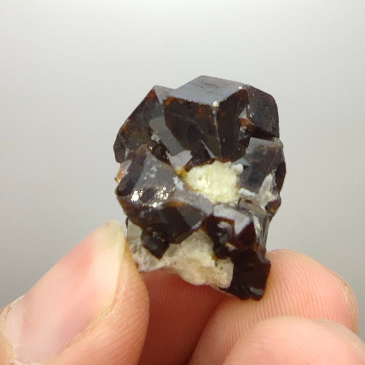 Natural Dark brown Andradite garnet cluster, Well formed crystal, 13.5 grams