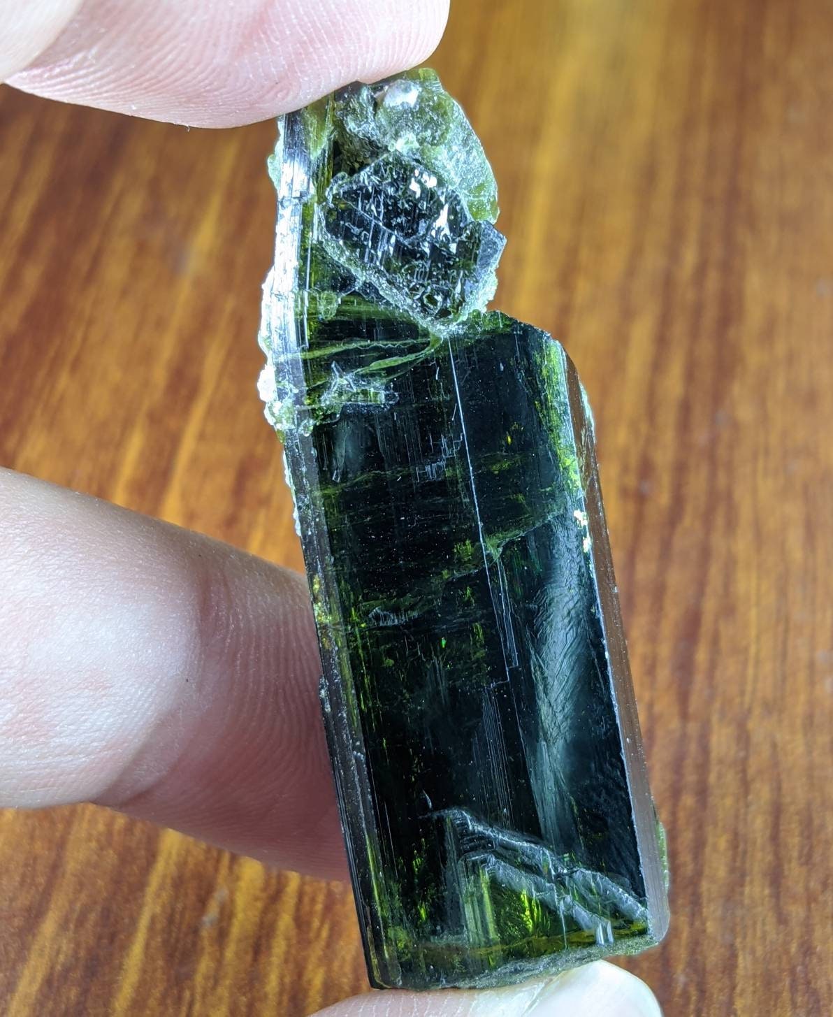 Green Epidote Crystal, KP Pakistan - 24.5 gram Mineral Specimen