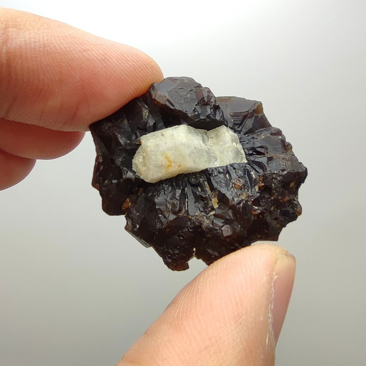 Natural Dark brown Andradite garnet cluster, Well formed crystal, 28.8 grams