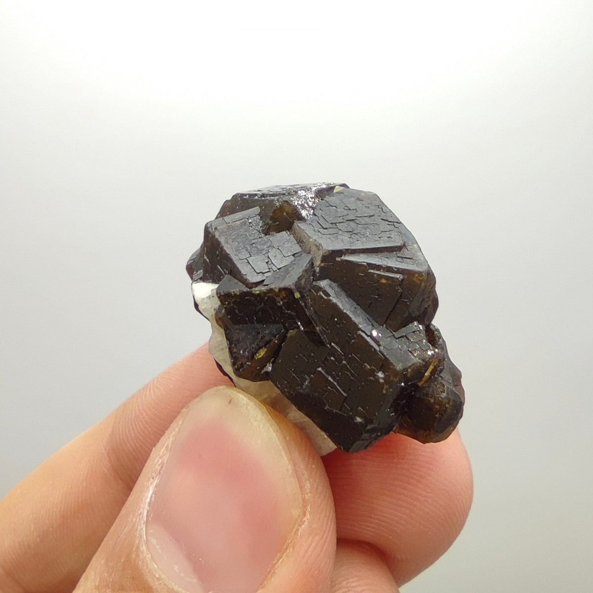 Natural Dark brown Andradite garnet cluster, Well formed crystal, 13.8 grams