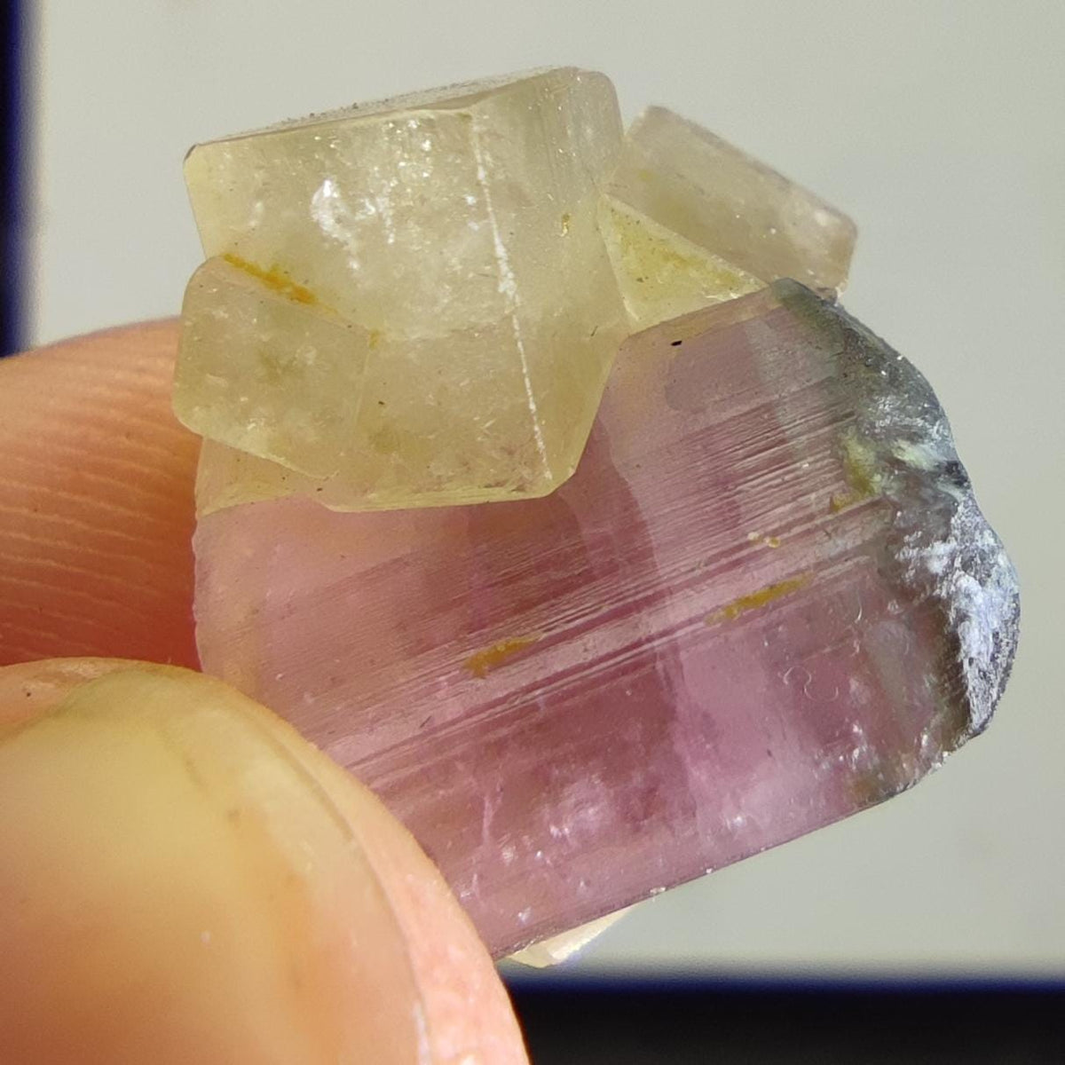 Bicolor tourmaline with pale Calcite |Rare Combination Tourmaline with calcite |Elbaite with calcite | Pink Tourmaline Crystal from Afghanis
