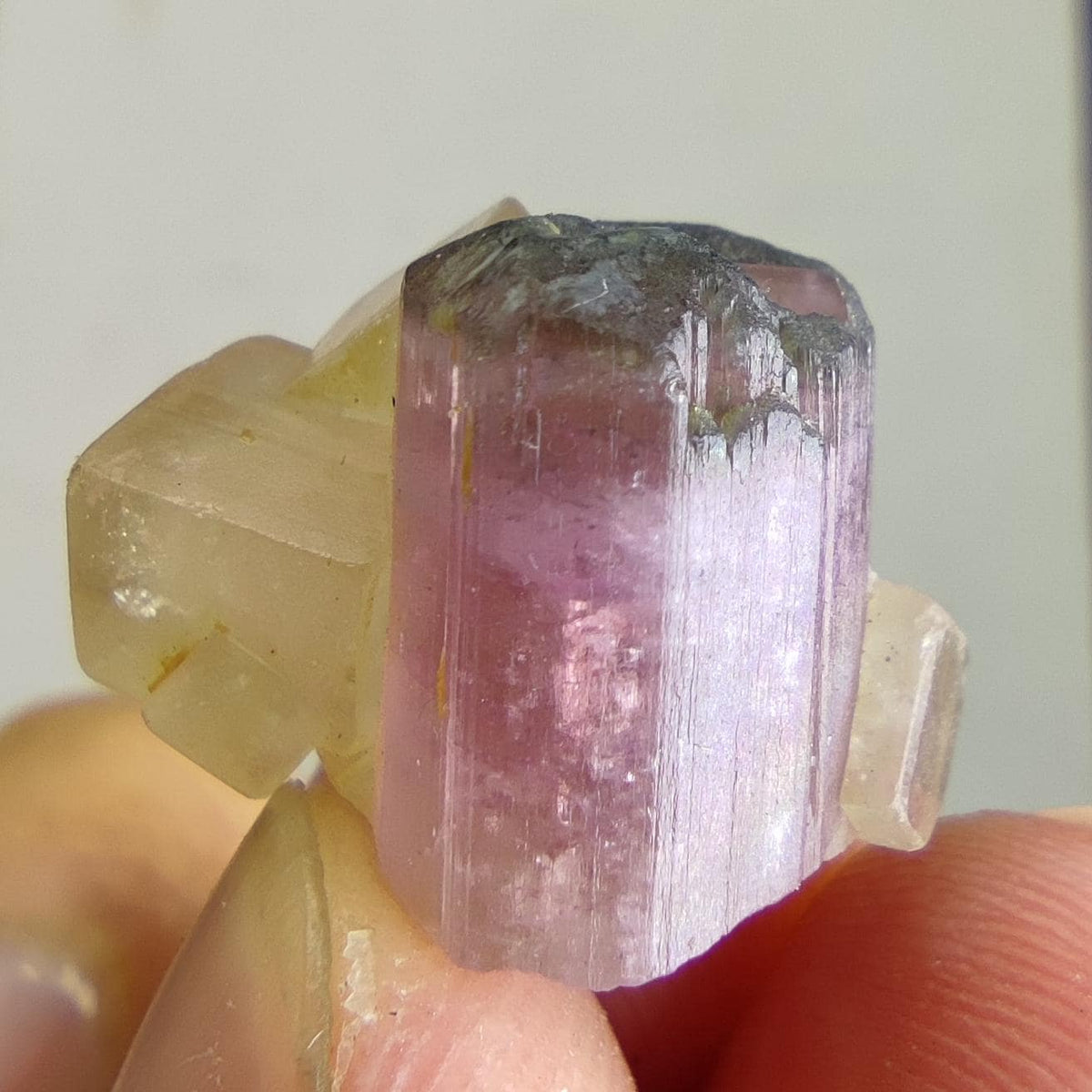 Bicolor tourmaline with pale Calcite |Rare Combination Tourmaline with calcite |Elbaite with calcite | Pink Tourmaline Crystal from Afghanis