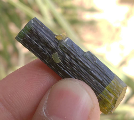 Green Cap Tourmaline Crystal, Double Terminated, 8 grams