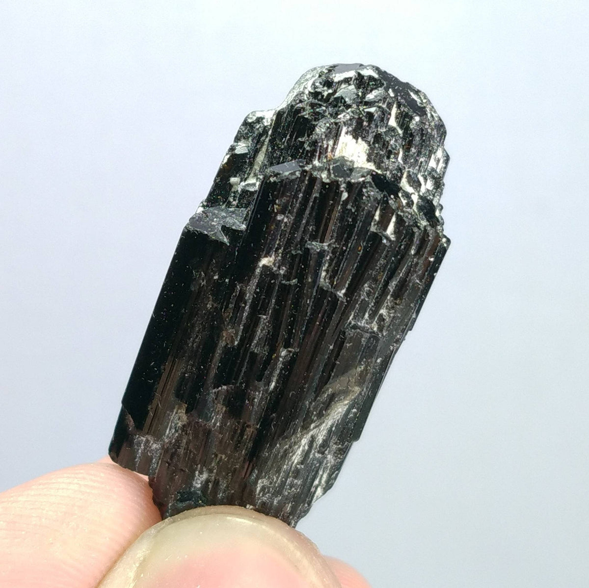 Black Tourmaline Crystal Bunch, Skardu Pakistan, 16 Grams