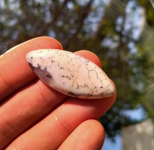 Natural Dendritic Opal Cabochon, 23 Carats