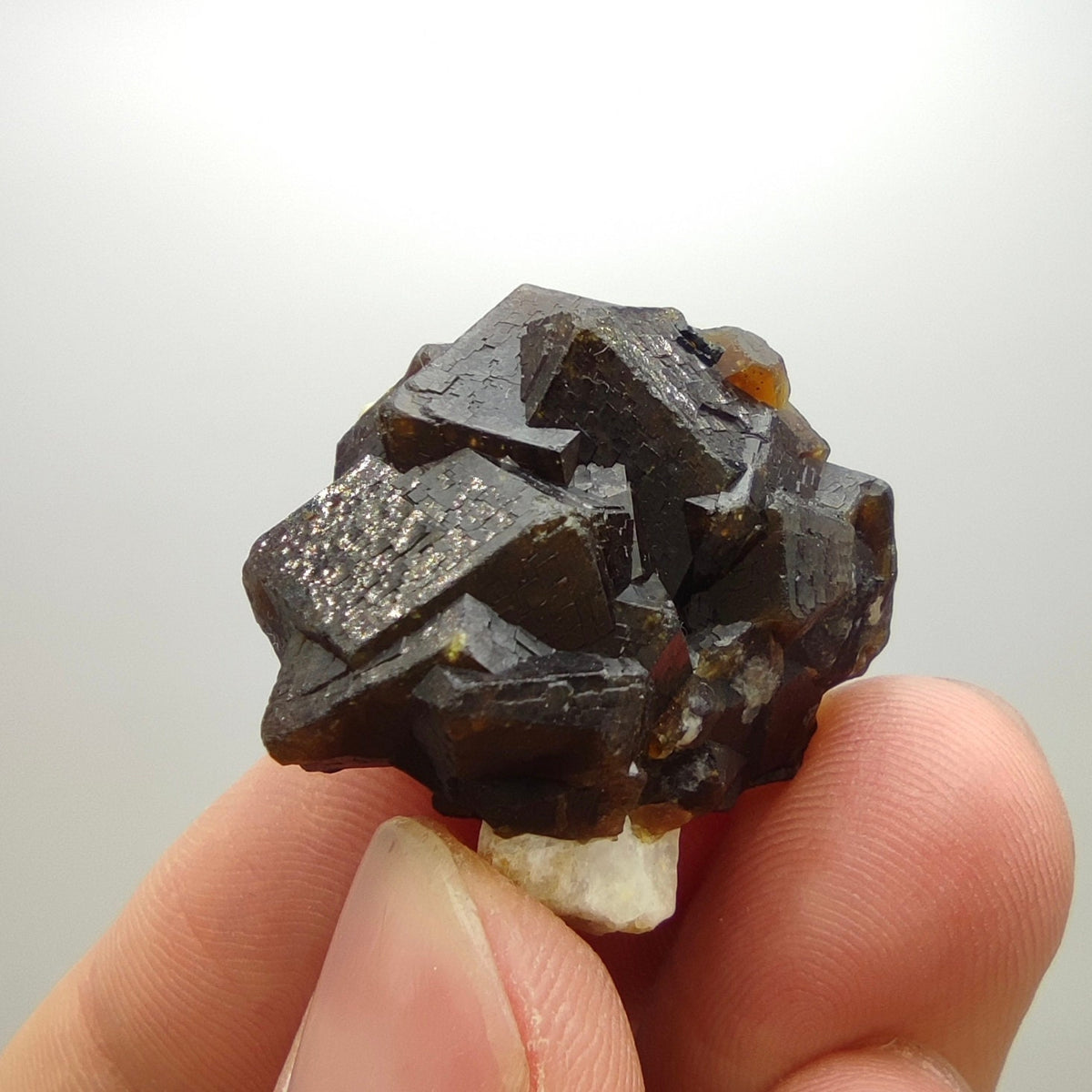 Natural Dark brown Andradite garnet cluster, Well formed crystal, 16.6 grams