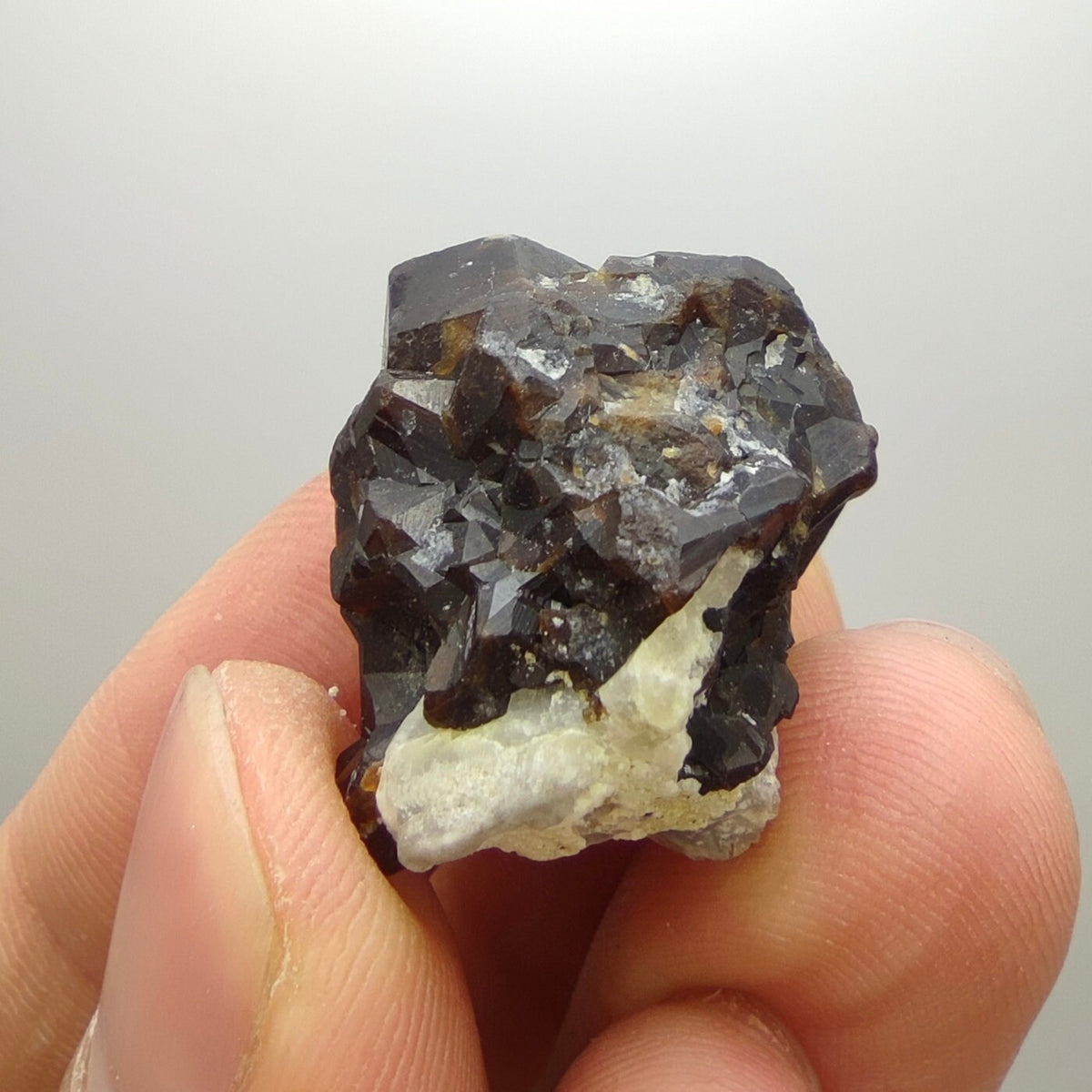 Natural Dark brown Andradite garnet cluster, Well formed crystal, 13.5 grams