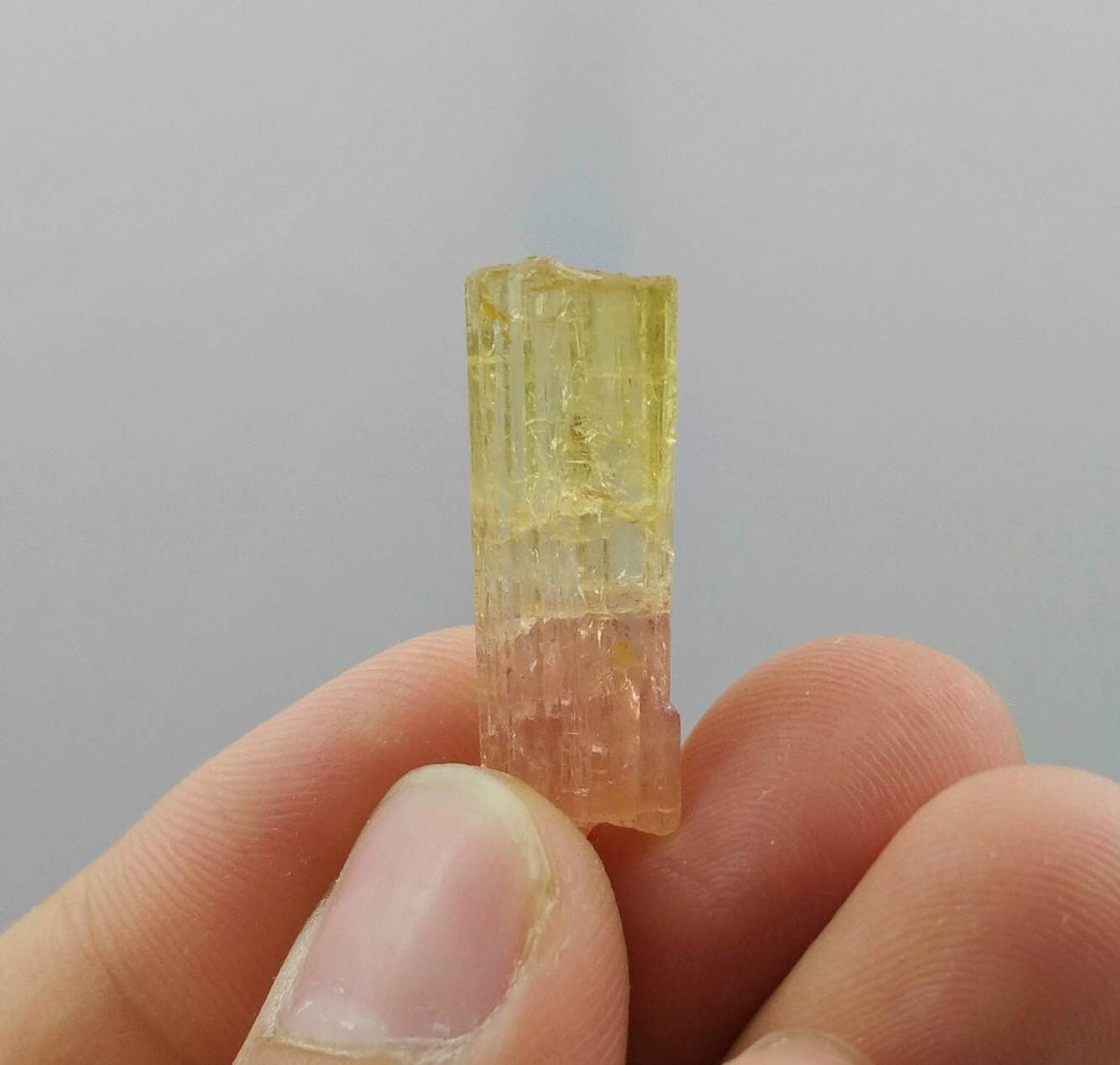 Bicolor terminated tourmaline crystal 4.1 grams weight from Africa