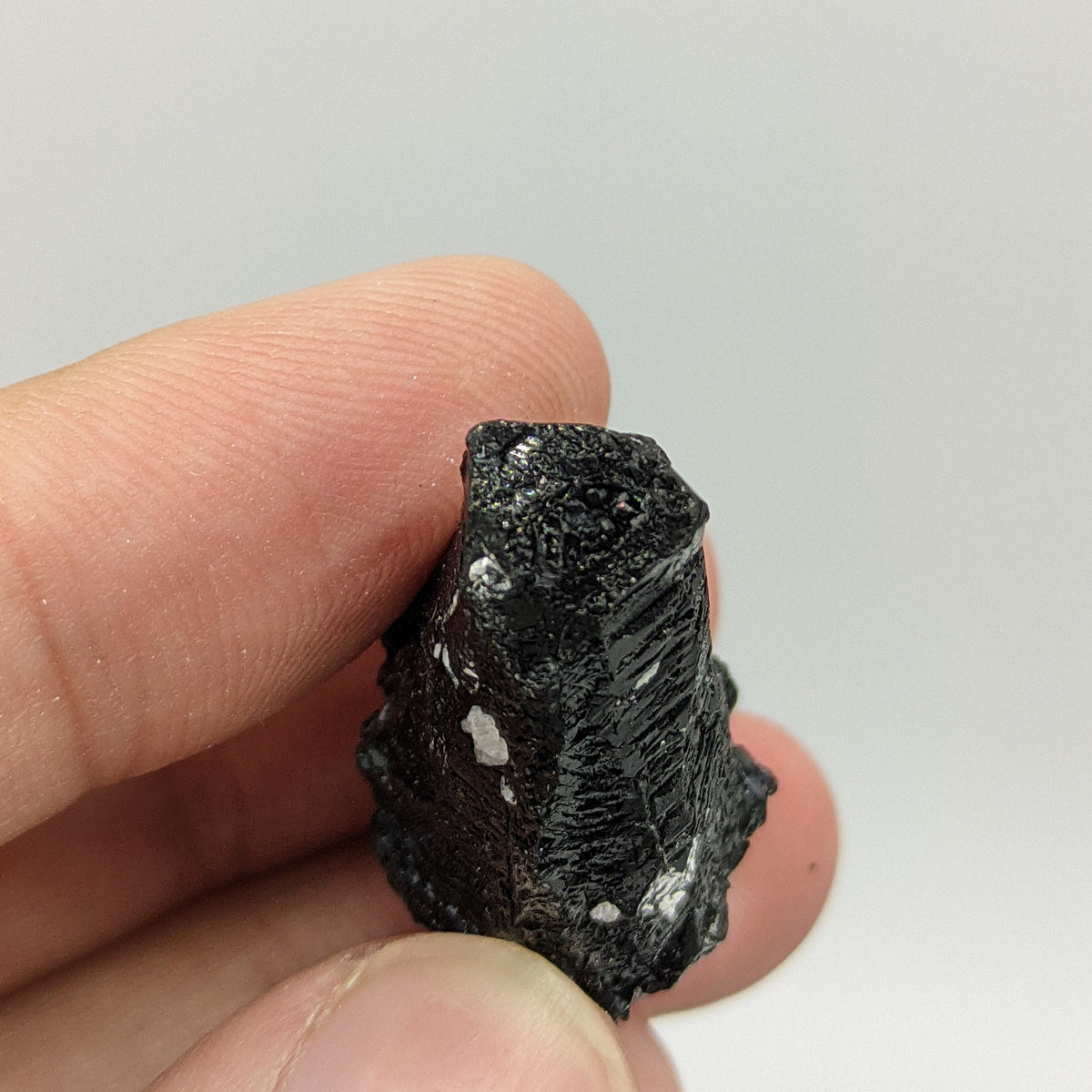 Etched Black Tourmaline Crystal, Skardu Pakistan, 13.5g