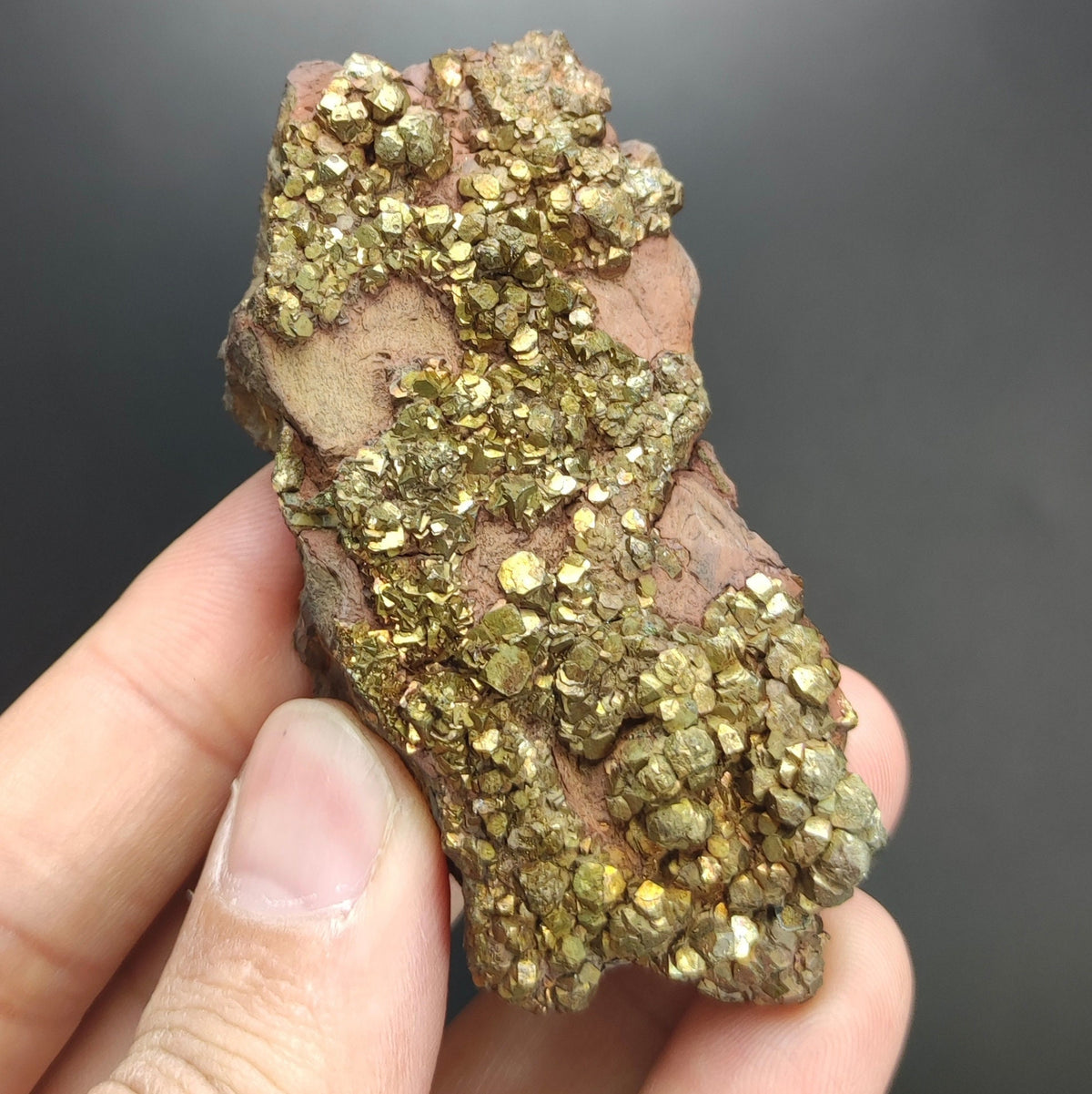 Natural golden Marcasite several crystals on matrix  from Pakistan, 105 grams