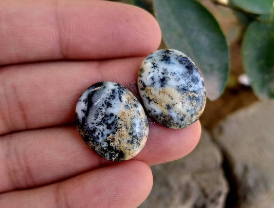 Dendritic Opal Cabochon Pair, Natural Gemstone (22x17mm)