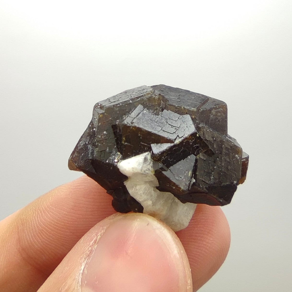 Natural Dark brown Andradite garnet cluster, Well formed crystal, 13.8 grams