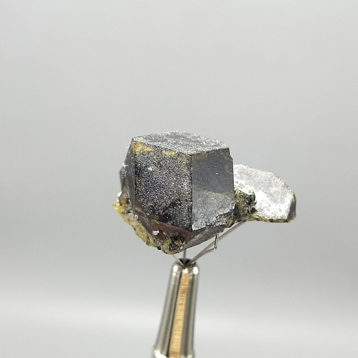 Andradite Garnet Crystal on Albite with Epidote, Pakistan, 15.8 grams