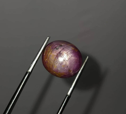 16 Carat Oval Star Ruby Cabochon, Fine Quality