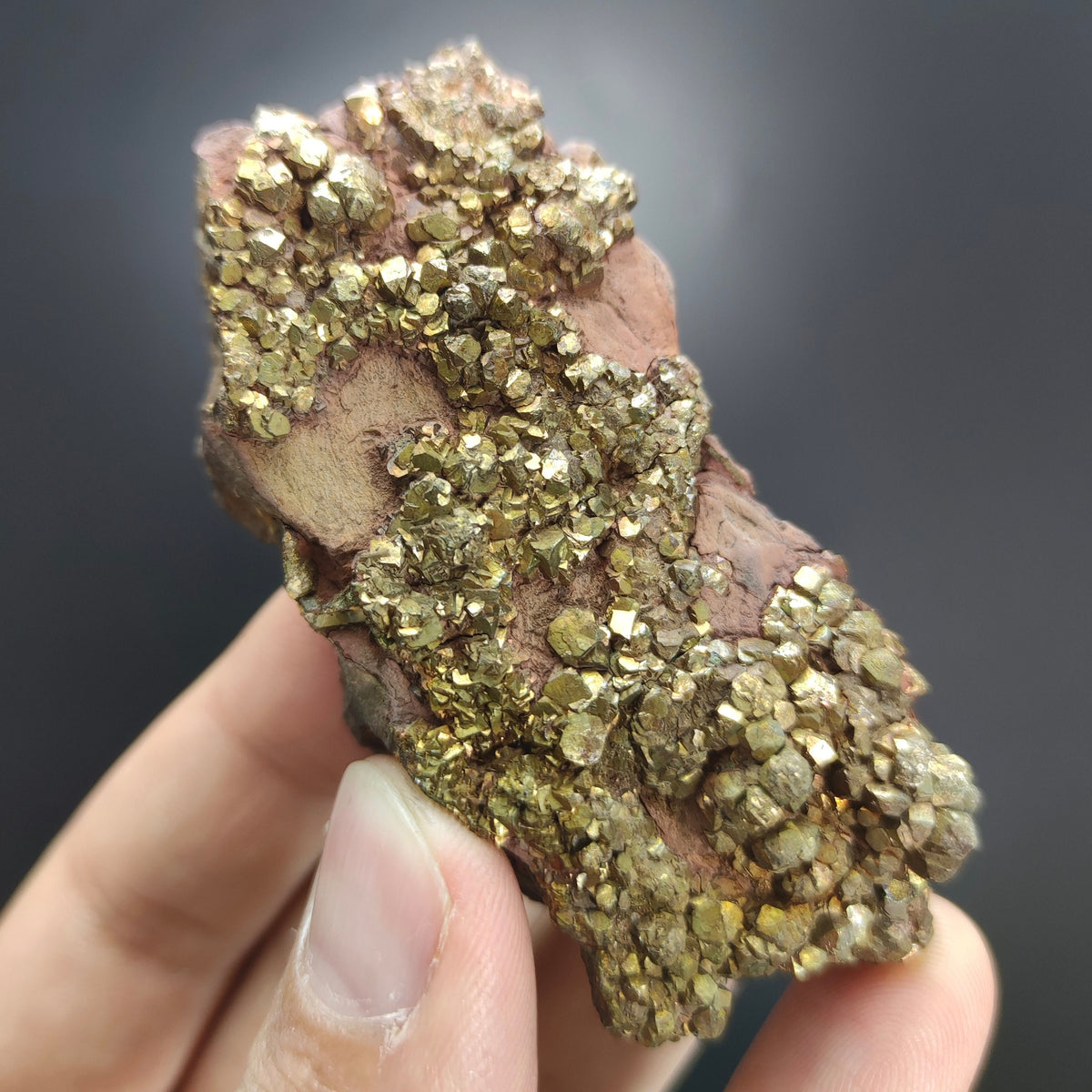 Natural golden Marcasite several crystals on matrix  from Pakistan, 105 grams