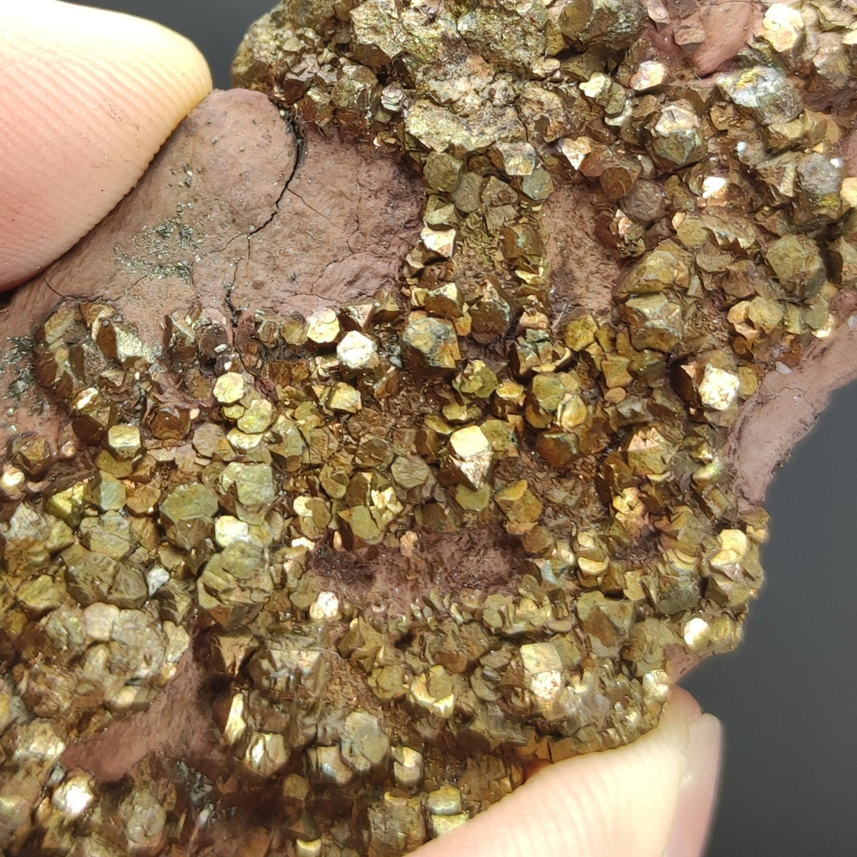 Natural golden Marcasite several crystals on matrix  from Pakistan, 105 grams