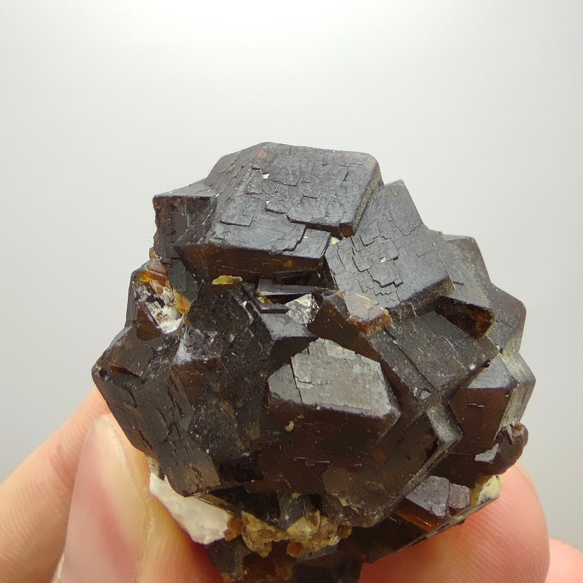 Natural Dark brown Andradite garnet cluster, Well formed crystal, 40 grams