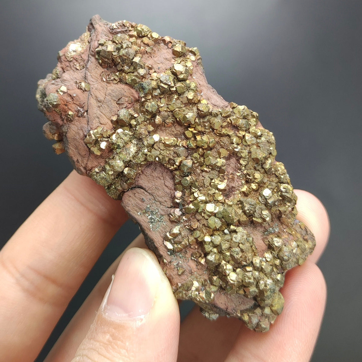 Natural golden Marcasite several crystals on matrix  from Pakistan, 105 grams
