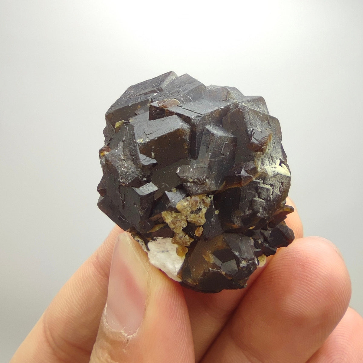 Natural Dark brown Andradite garnet cluster, Well formed crystal, 40 grams