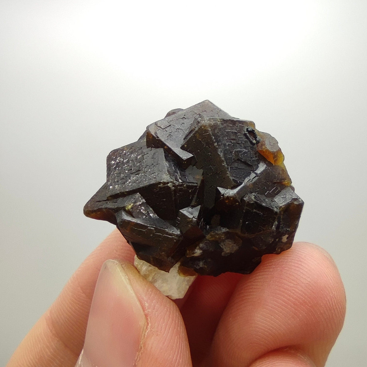 Natural Dark brown Andradite garnet cluster, Well formed crystal, 16.6 grams
