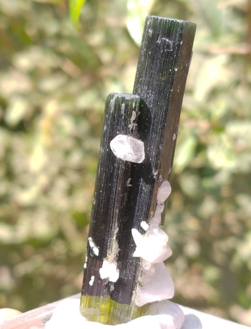 Green Cap Tourmaline Crystal Twins, Pakistan Mineral Specimen
