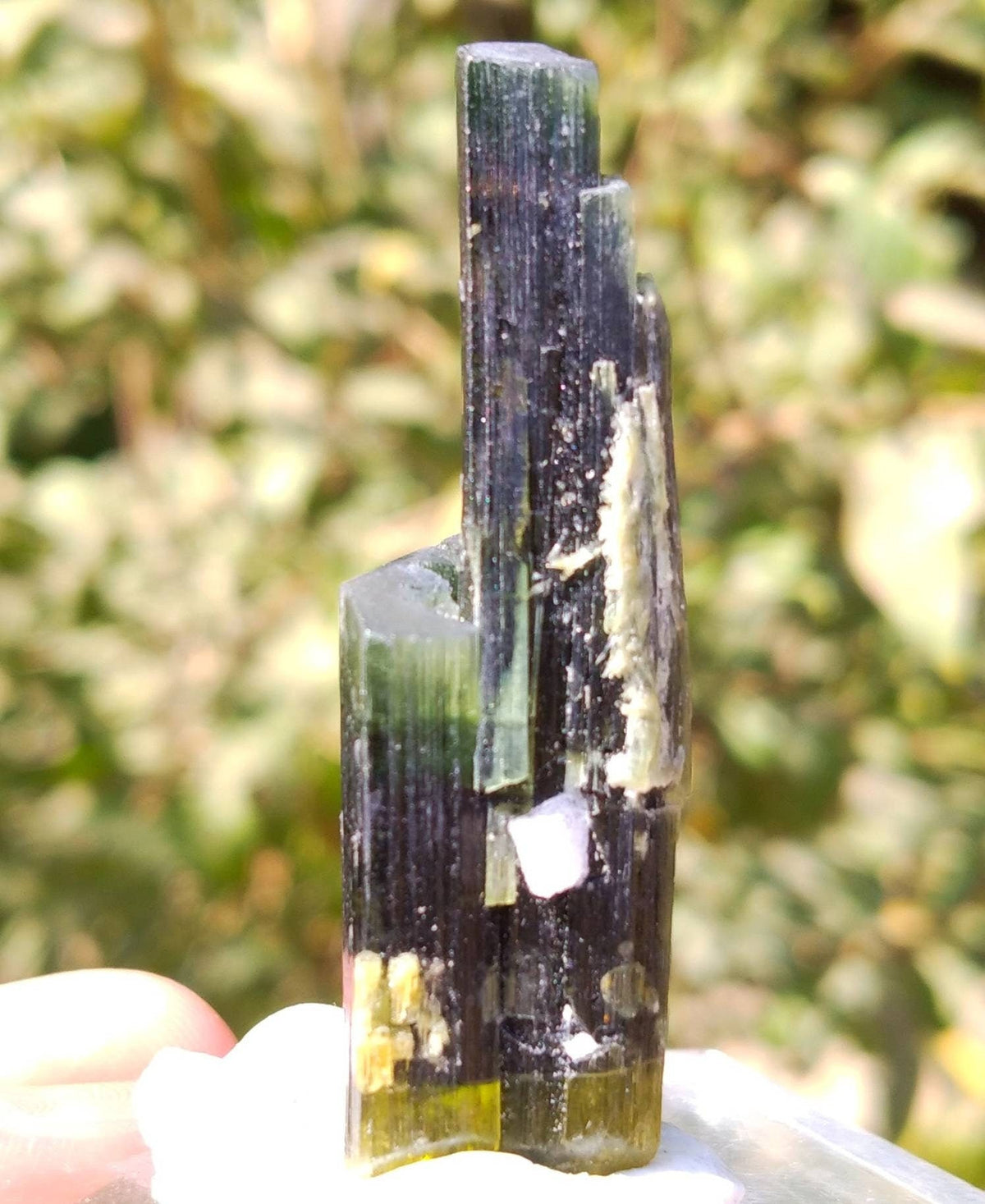 Double Terminated Green Tourmaline Crystal, Pakistan - 14 grams