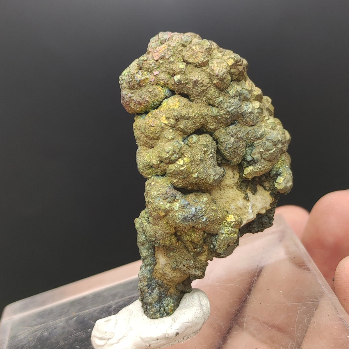 Natural golden Marcasite crystal with rainbow effect on surface from Pakistan, 56 grams