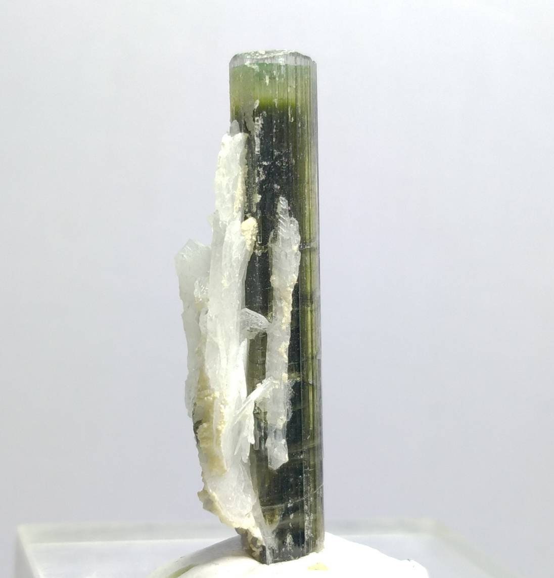 Green Cap Tourmaline Crystal, Double Terminated, Skardu Pakistan