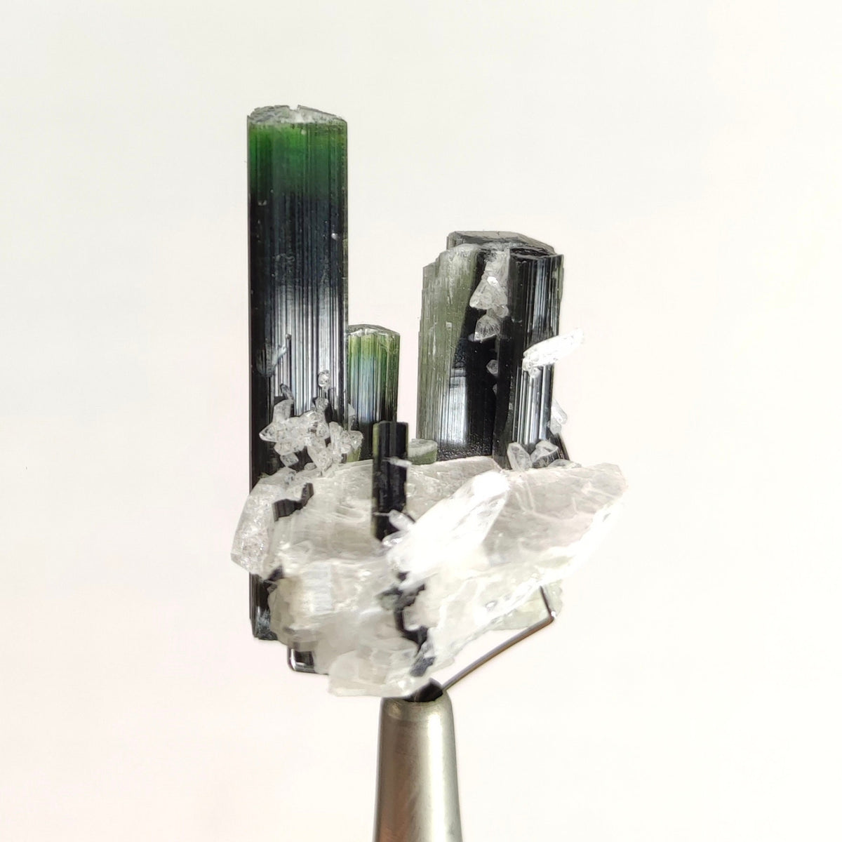 Green Cap Tourmaline Crystals on Muscovite, Skardu Pakistan