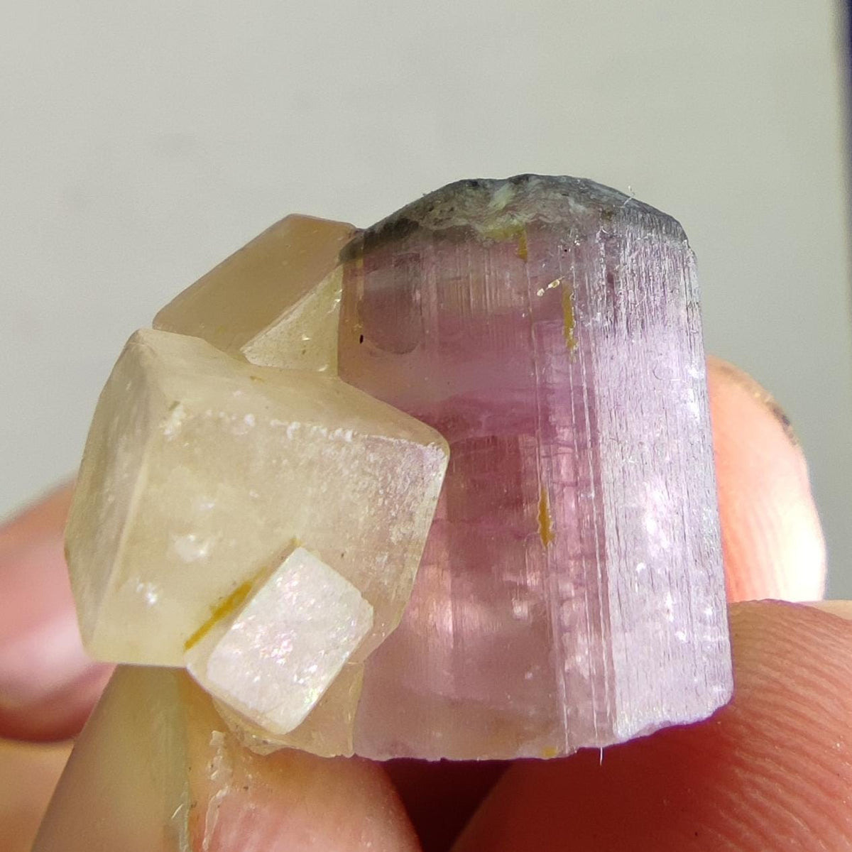 Bicolor tourmaline with pale Calcite |Rare Combination Tourmaline with calcite |Elbaite with calcite | Pink Tourmaline Crystal from Afghanis