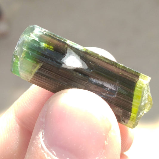 Green Cap Tourmaline Crystal, Double Terminated, Pakistan Origin
