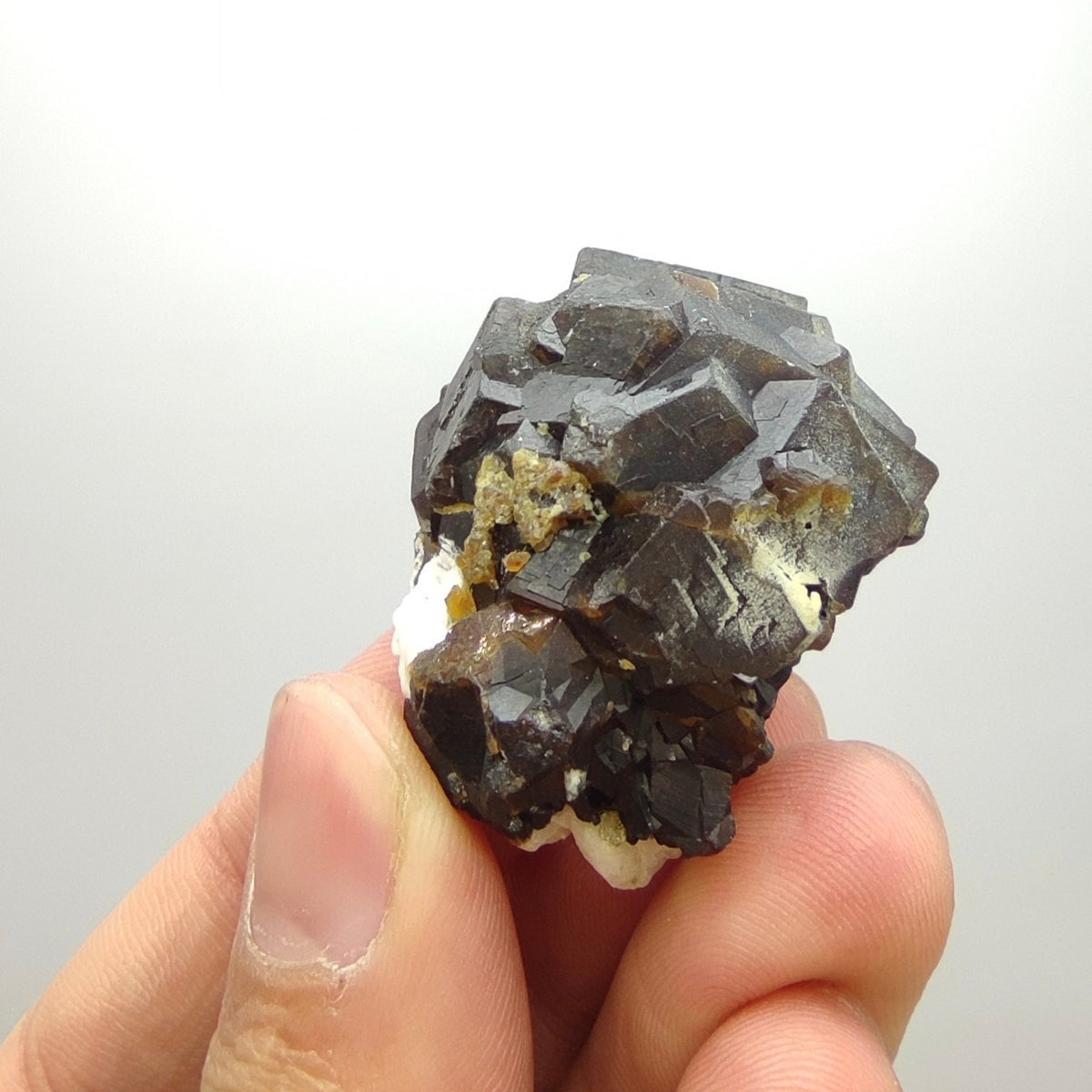 Natural Dark brown Andradite garnet cluster, Well formed crystal, 40 grams