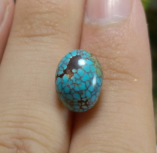 Egyptian Turquoise Cabochon, Spider Web Stone (6 Carats)