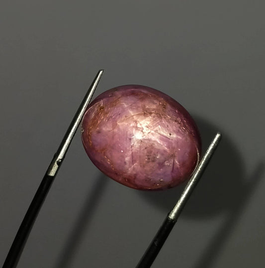 33 Carat Eclipse Star Ruby Cabochon, Untreated Gemstone