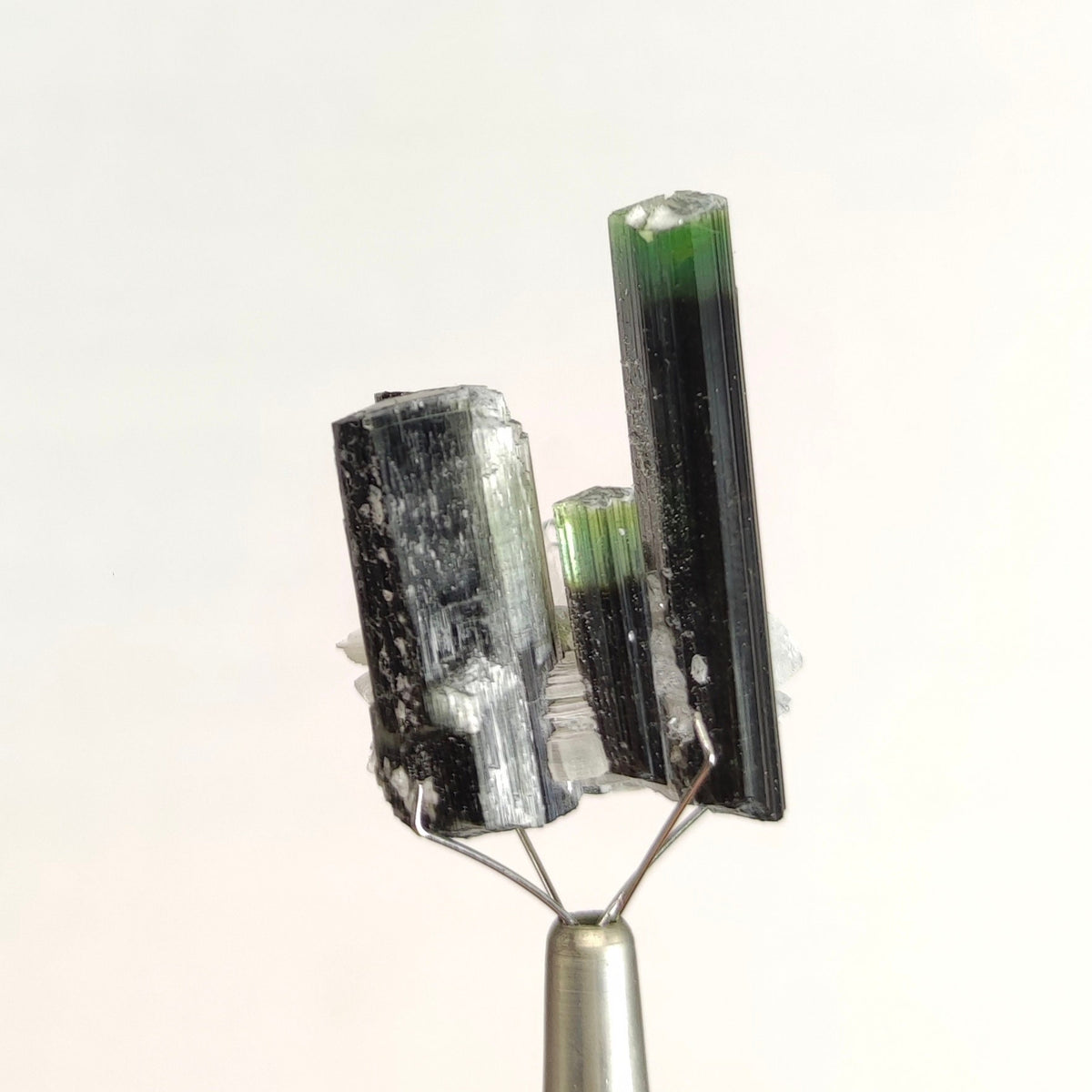 Green Cap Tourmaline Crystals on Muscovite, Skardu Pakistan
