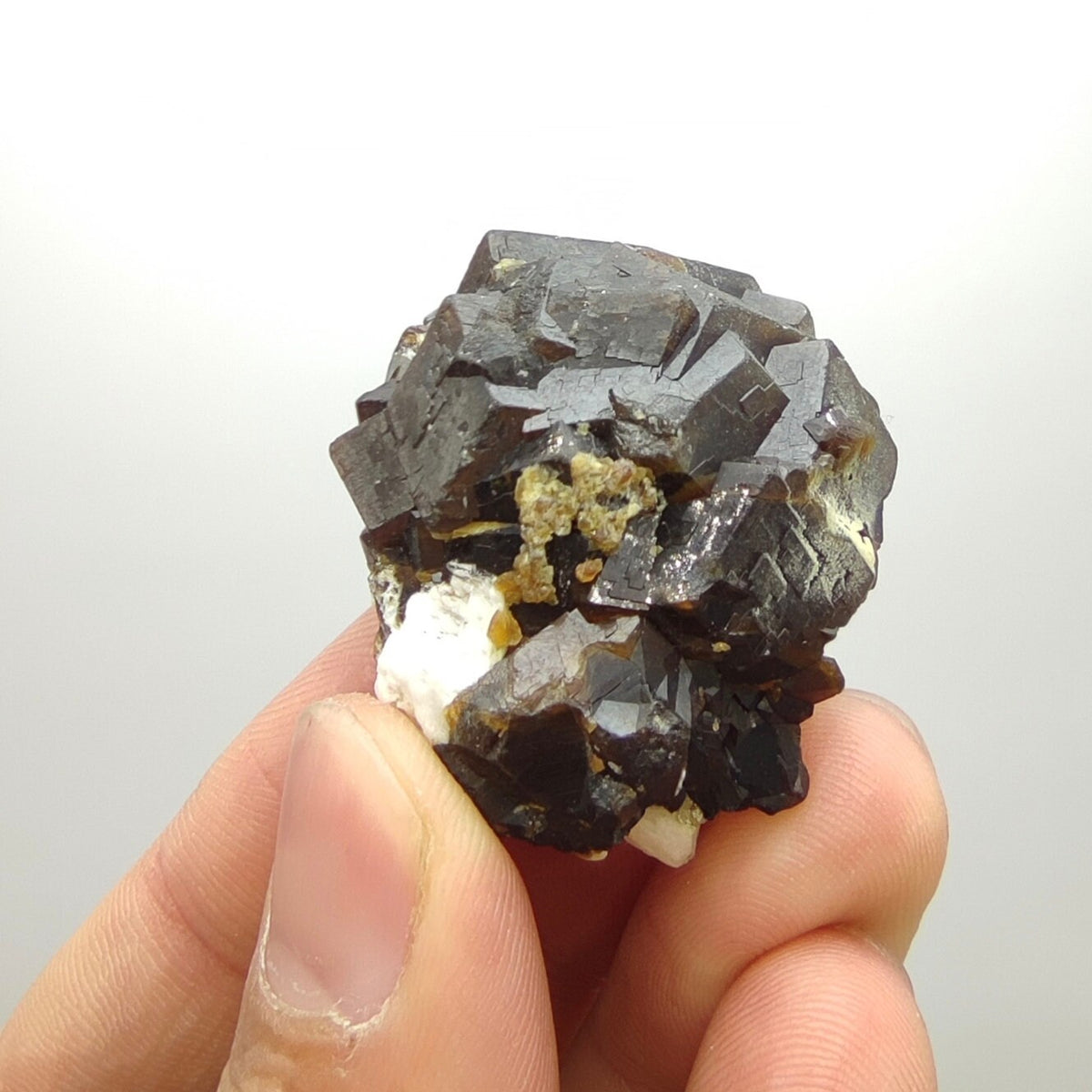Natural Dark brown Andradite garnet cluster, Well formed crystal, 40 grams