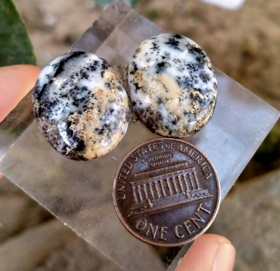 Dendritic Opal Cabochon Pair, Natural Gemstone (22x17mm)