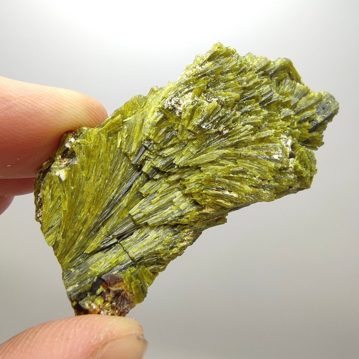 Grreen spray epidote crystal from Balochistan Pakistan, weight 28 grams