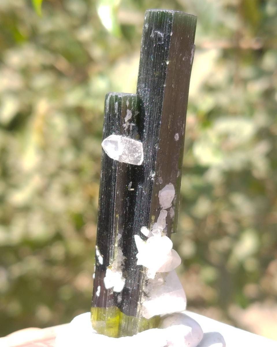 Green Cap Tourmaline Crystal Twins, Pakistan Mineral Specimen