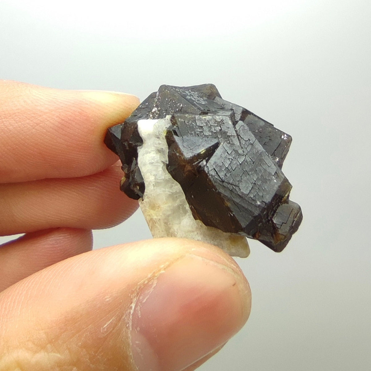 Natural Dark brown Andradite garnet cluster, Well formed crystal, 13.8 grams