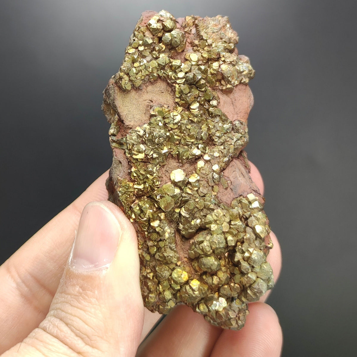 Natural golden Marcasite several crystals on matrix  from Pakistan, 105 grams